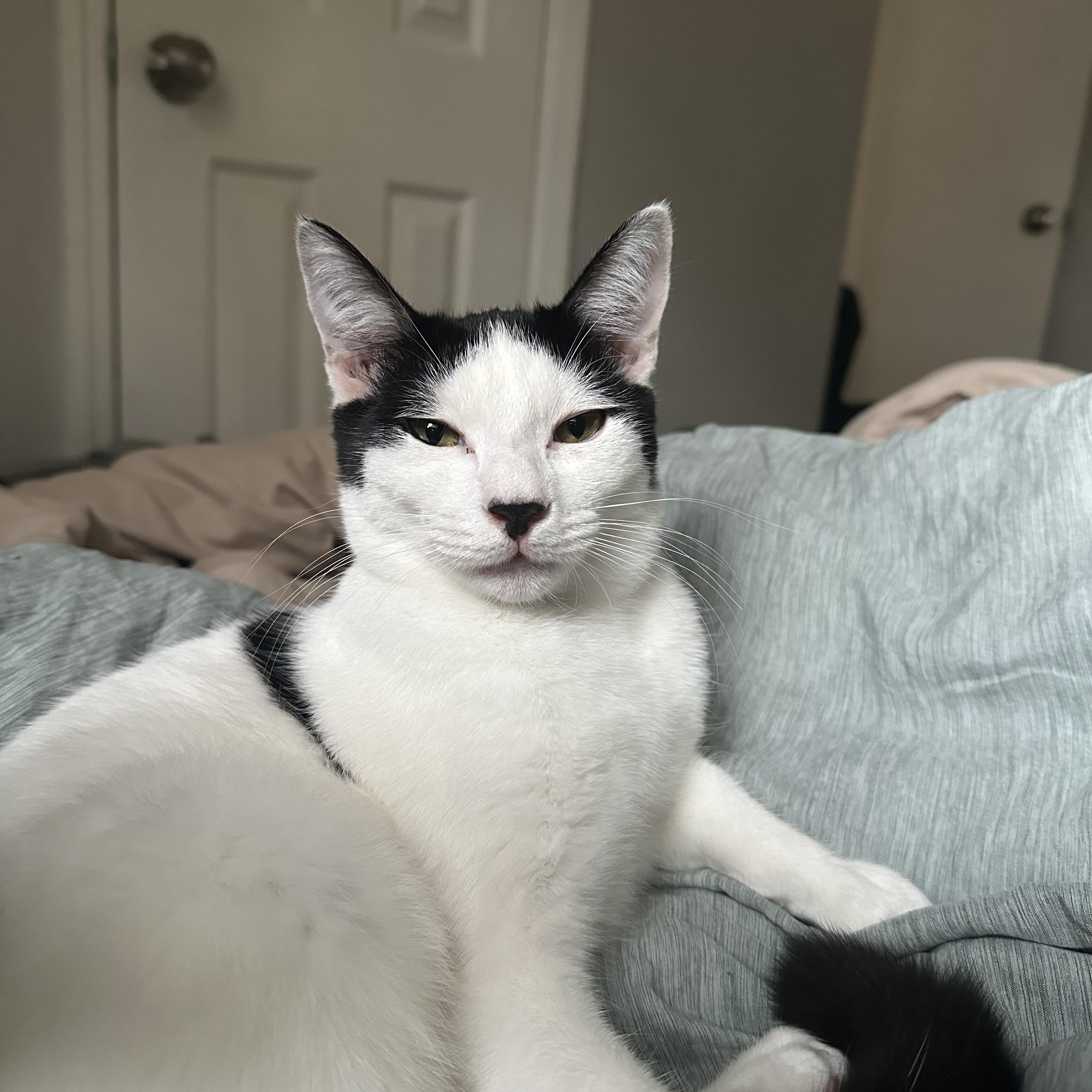 Haven — thumbnail 4