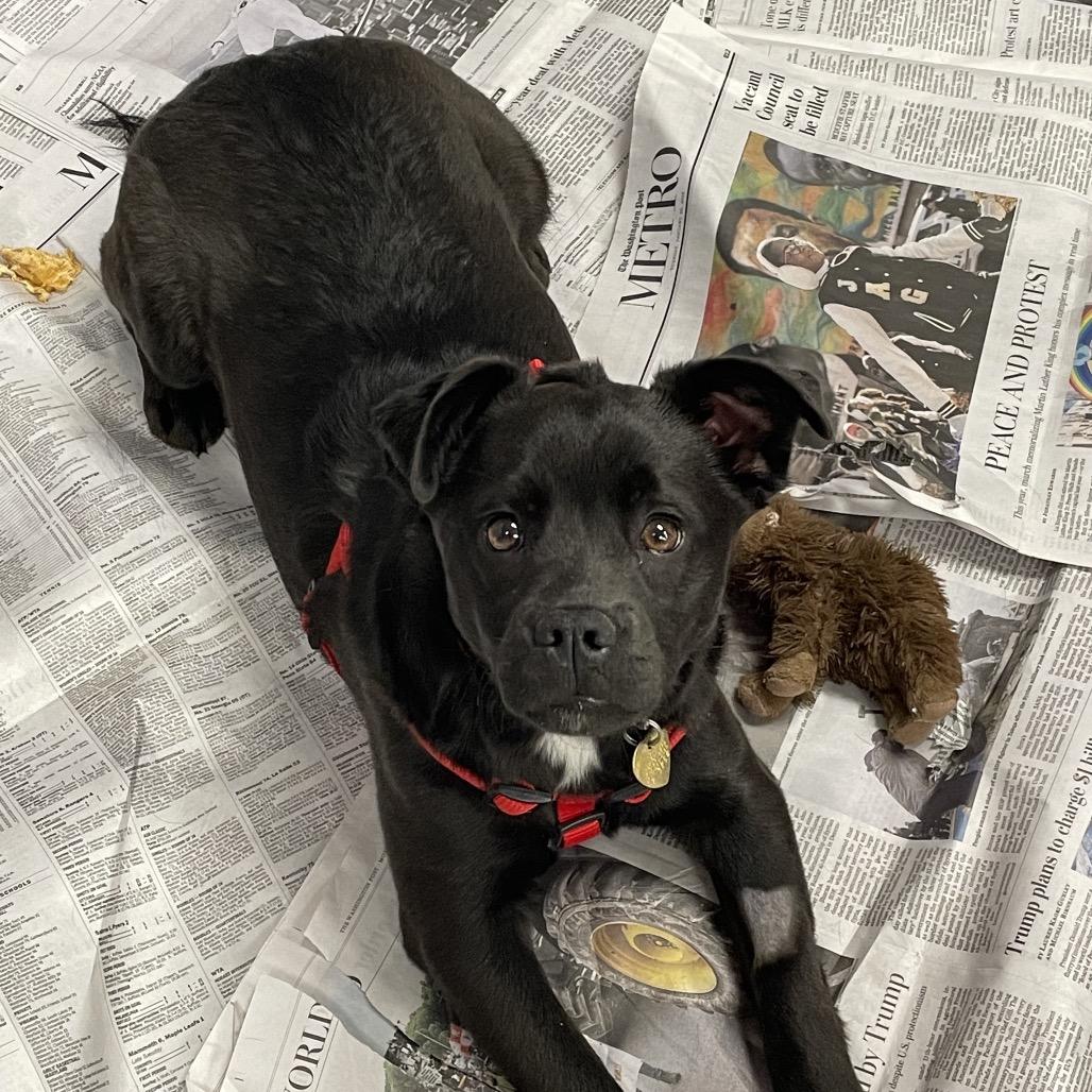 Chloe WV — thumbnail 2