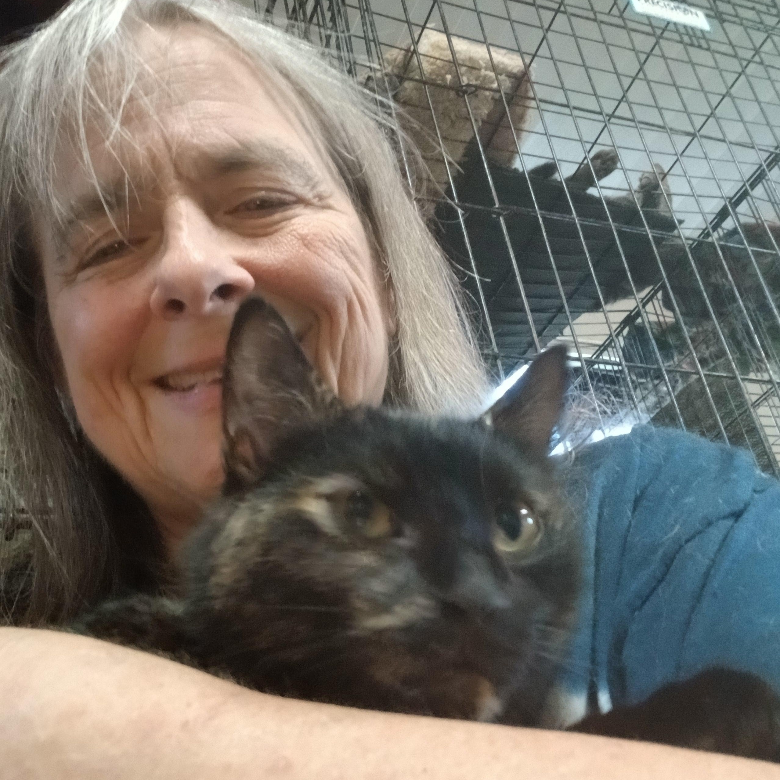 Enlarge Barnes Rd Cinnamon Swirl, an adoptable mixed breed in Eaton Rapids, MI image 2/4