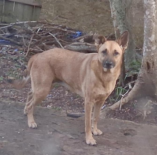 Tria — thumbnail 6