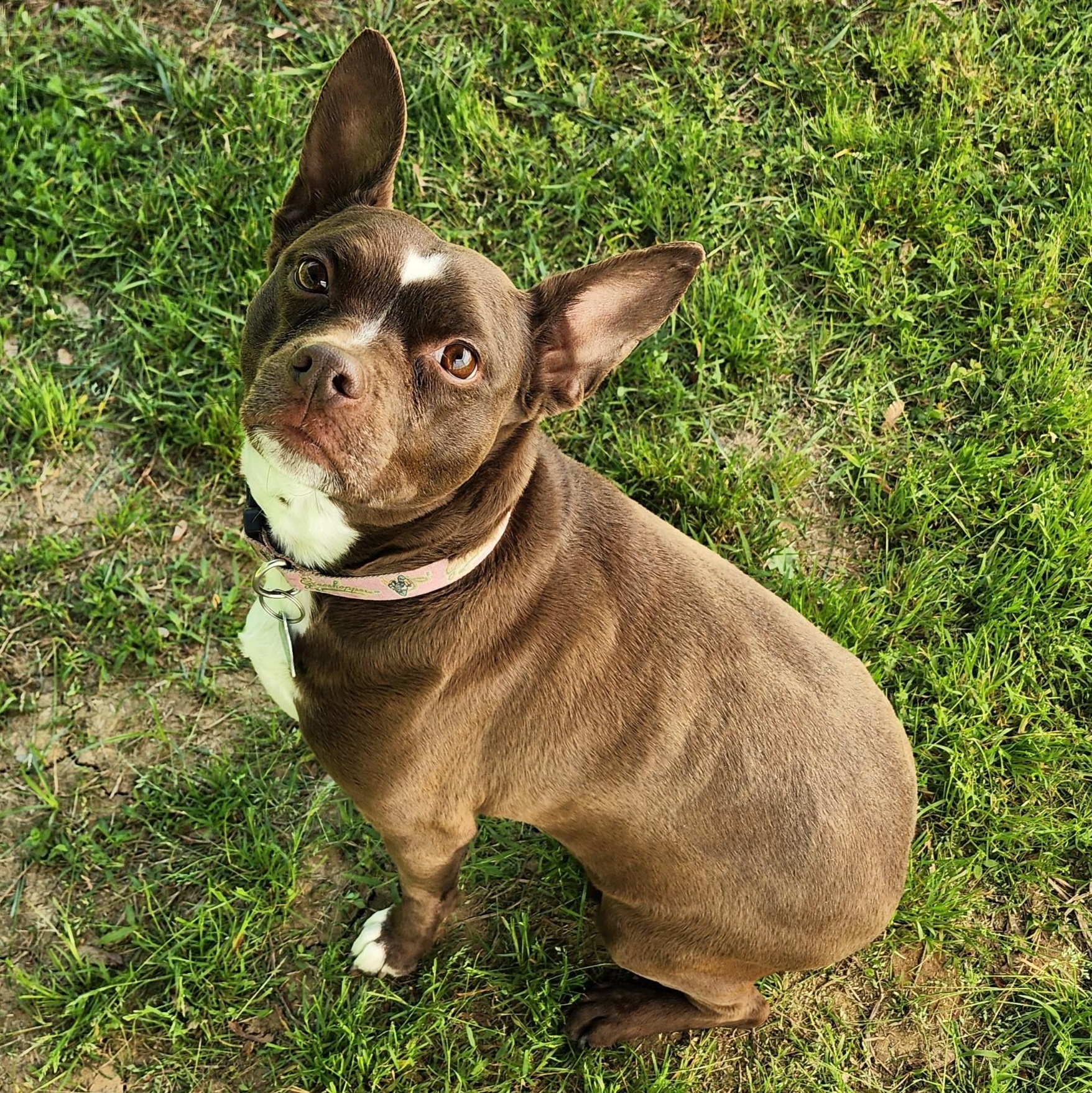 Baby Sasha thumbnail 6