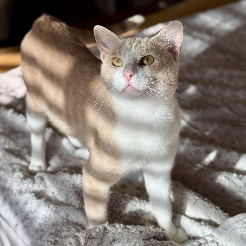 Sebastian — thumbnail 2