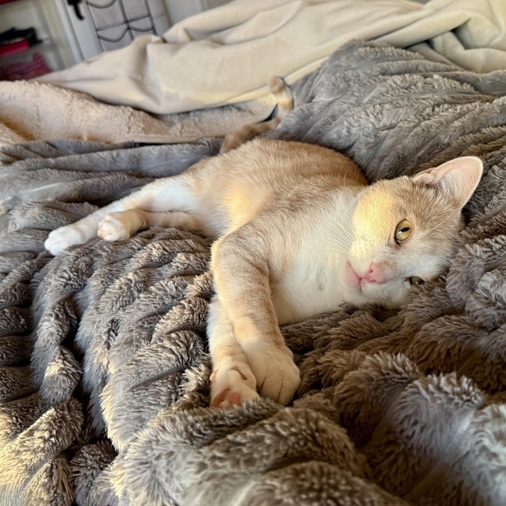 Sebastian — thumbnail 3