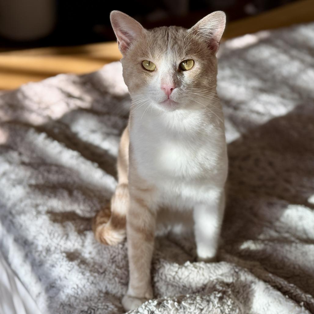 Sebastian — thumbnail 6