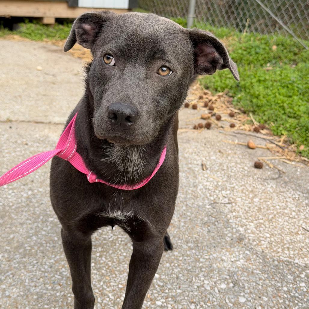 Sharon — thumbnail 2