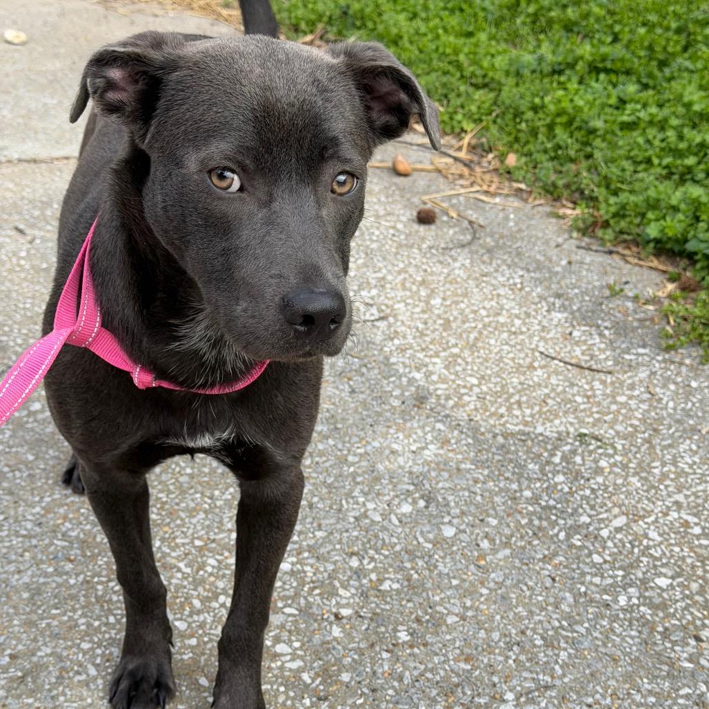 Sharon — thumbnail 3