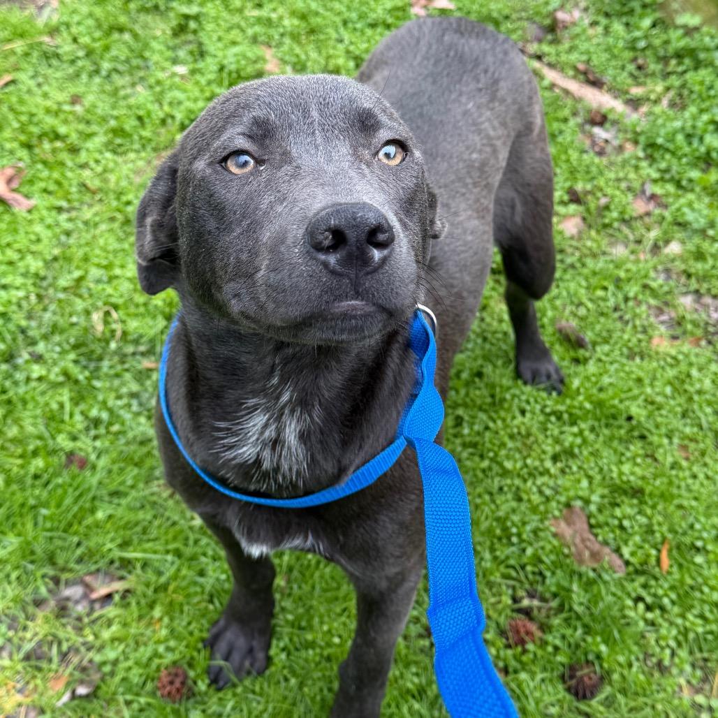 Sharon — thumbnail 4