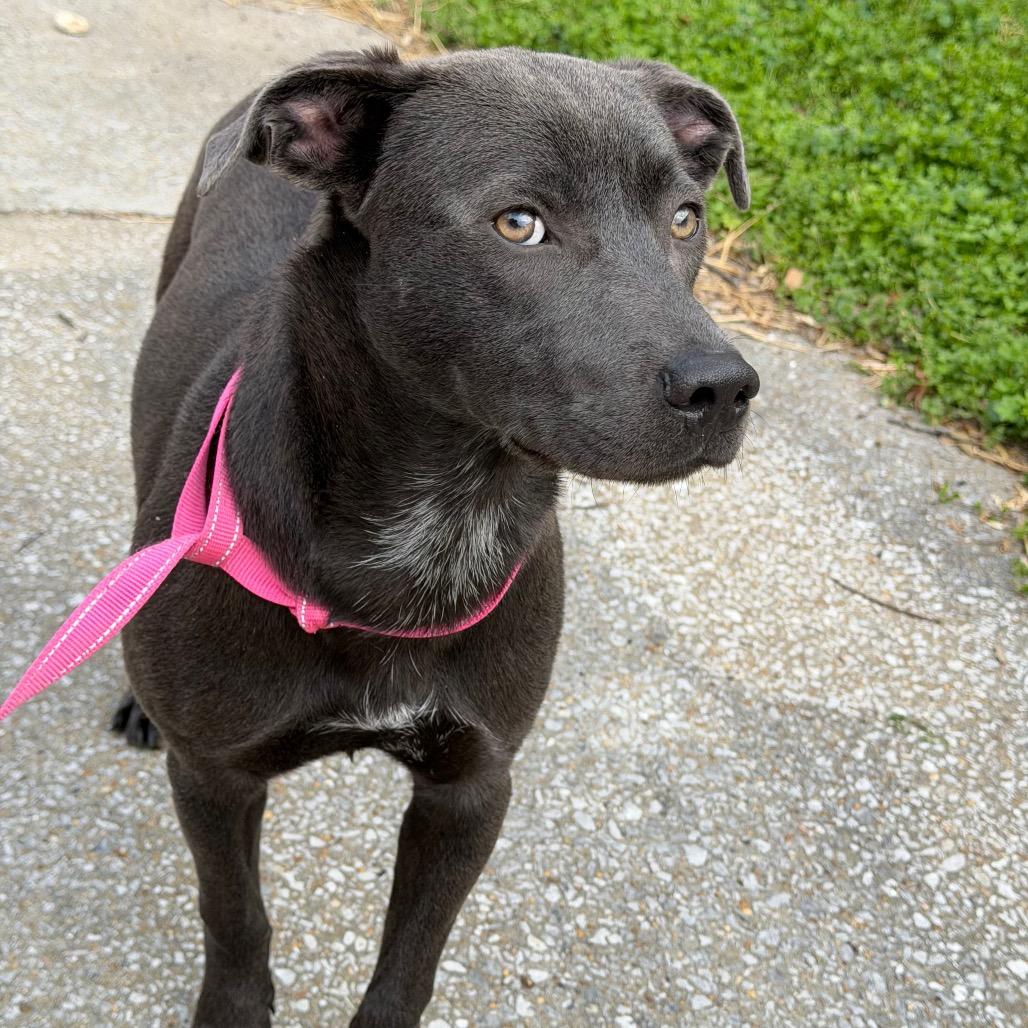 Sharon — thumbnail 5