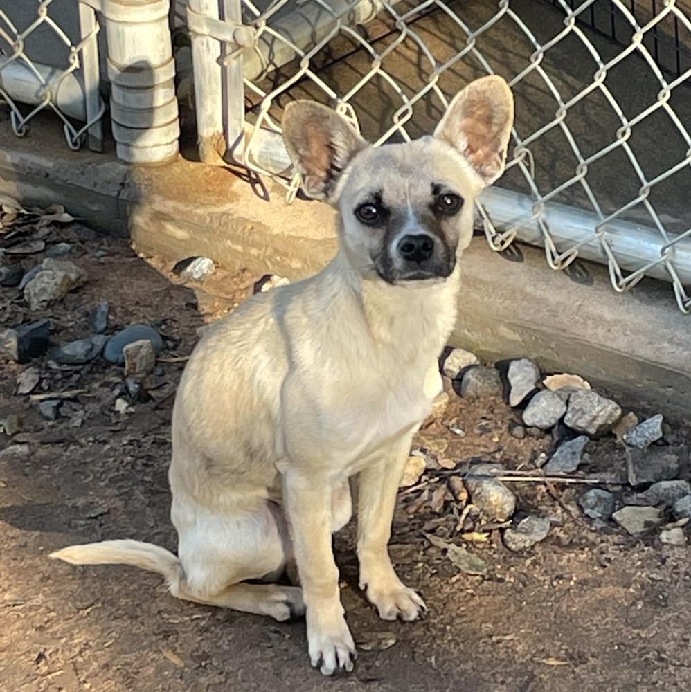 Toby — thumbnail 6