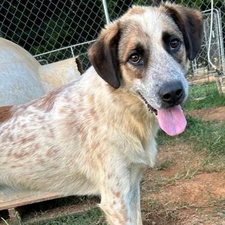 Chase Jasmine thumbnail 3