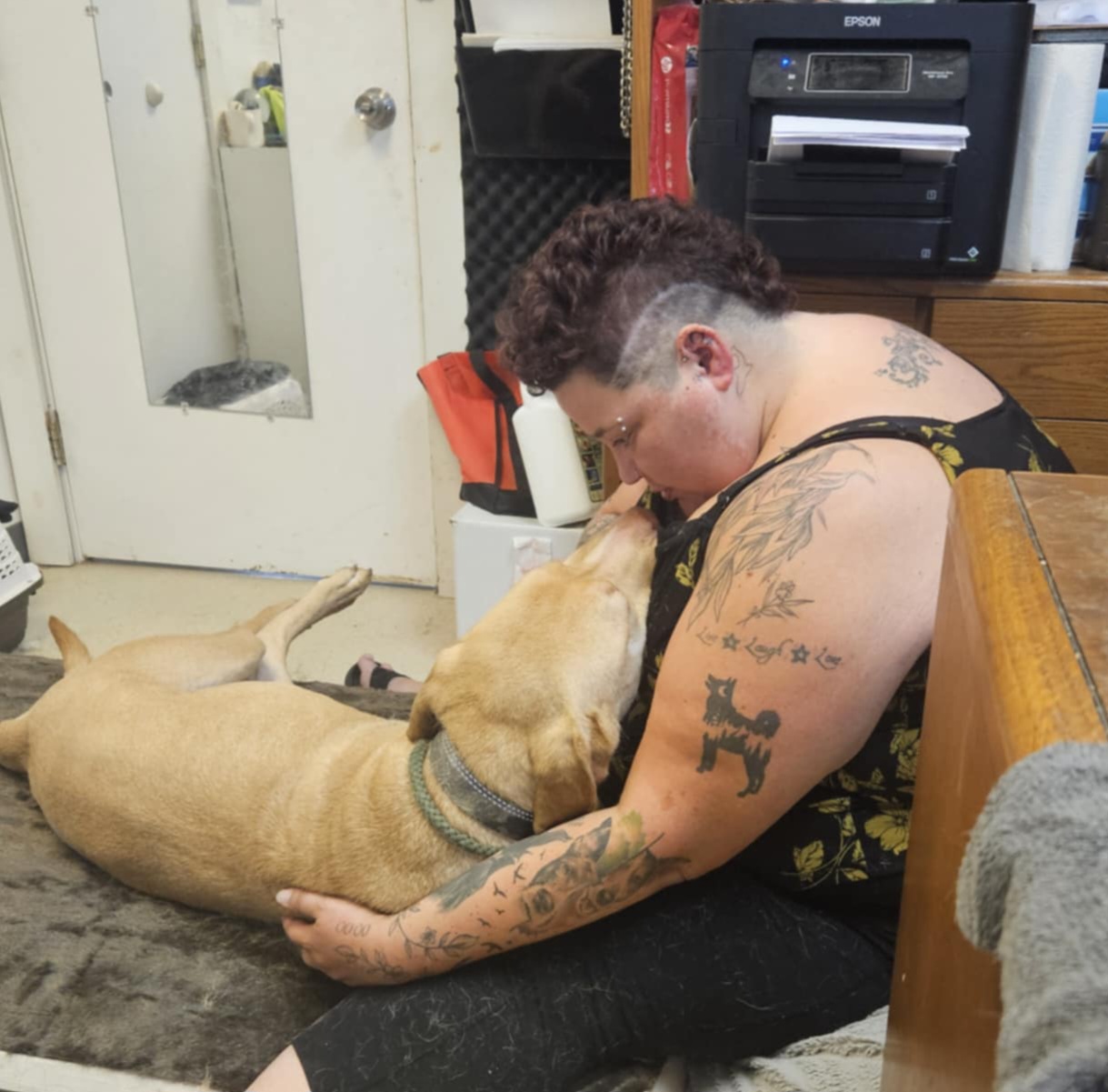 Enlarge MINGO, a Adoptable Yellow Labrador Retriever in TULSA, OK image 10/12