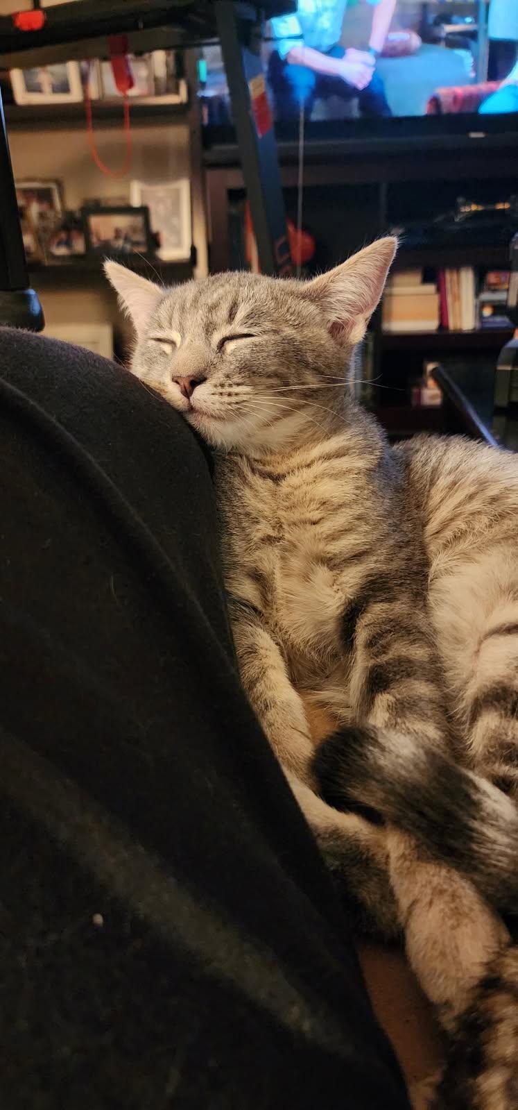 River 2 — thumbnail 2