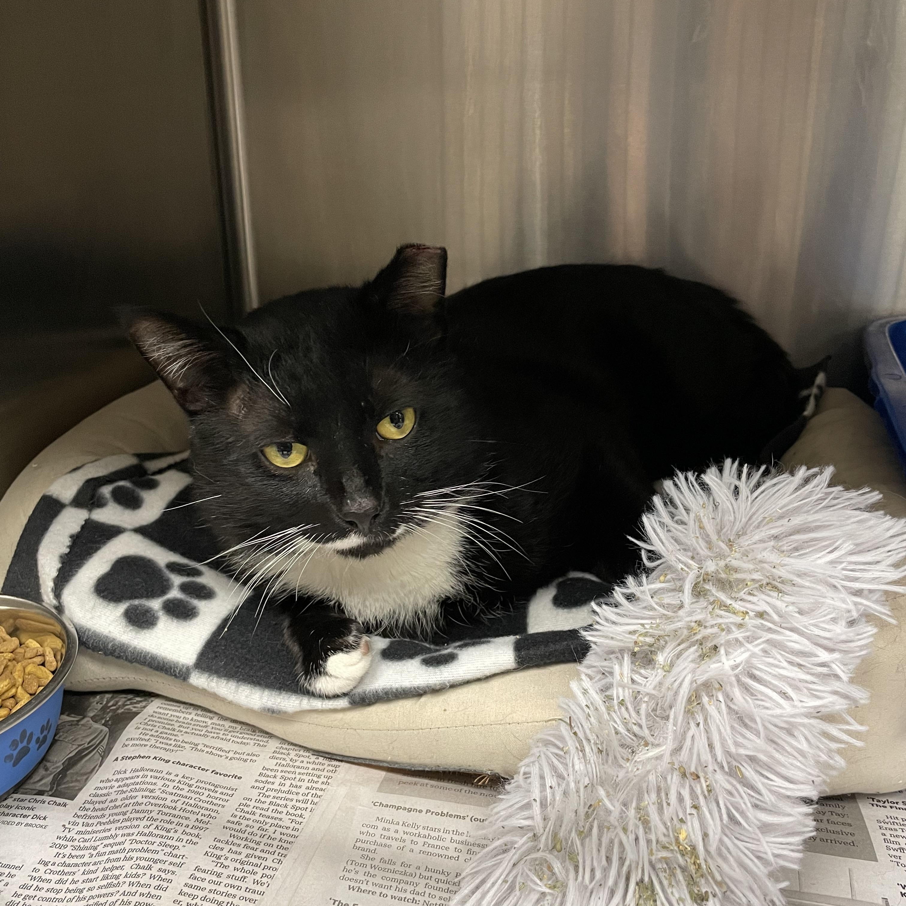 Yukon — thumbnail 3