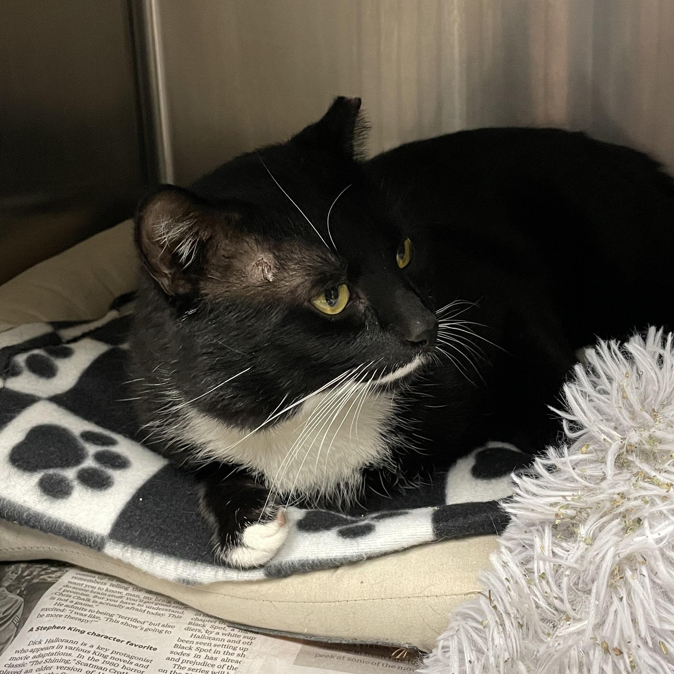 Yukon — thumbnail 4