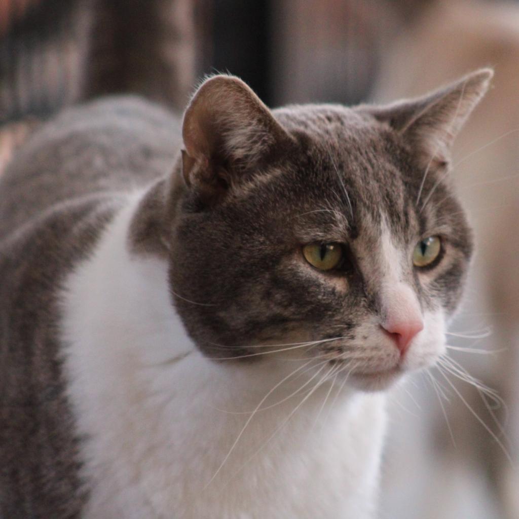 Kenneth — thumbnail 3