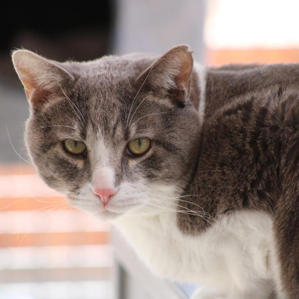 Kenneth — thumbnail 4