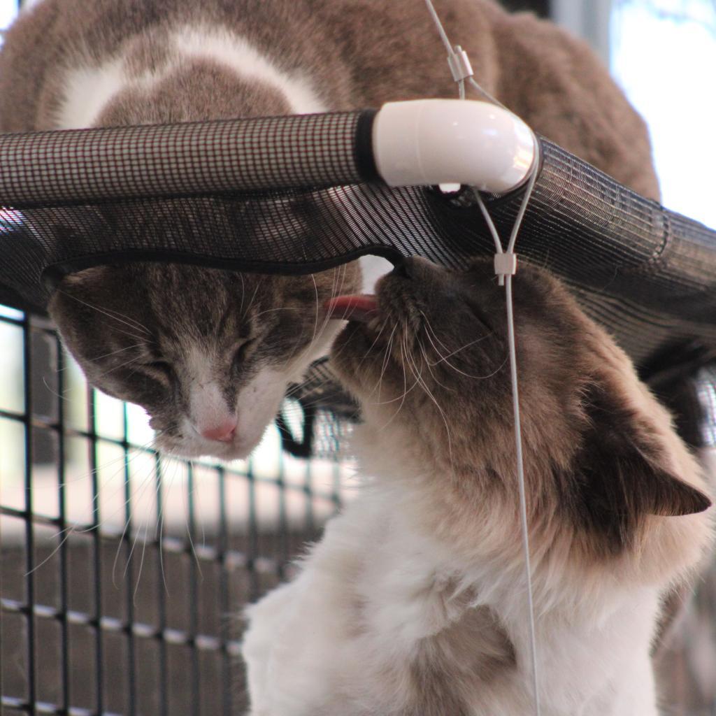 Kenneth — thumbnail 6