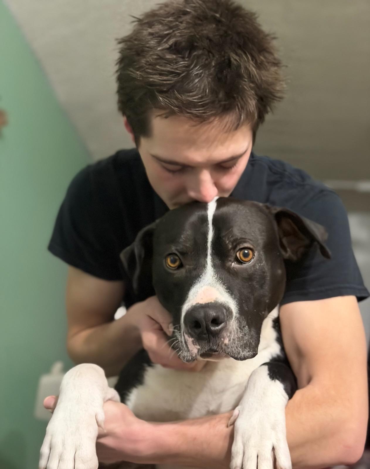 Enlarge Bruno, a ADOPTABLE mixed breed in Grayling, MI image 2/6