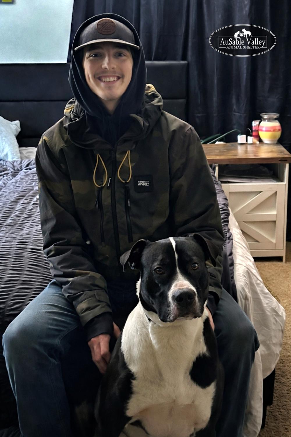 Enlarge Bruno, a ADOPTABLE mixed breed in Grayling, MI image 3/6