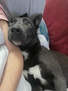 Lucy — thumbnail 3