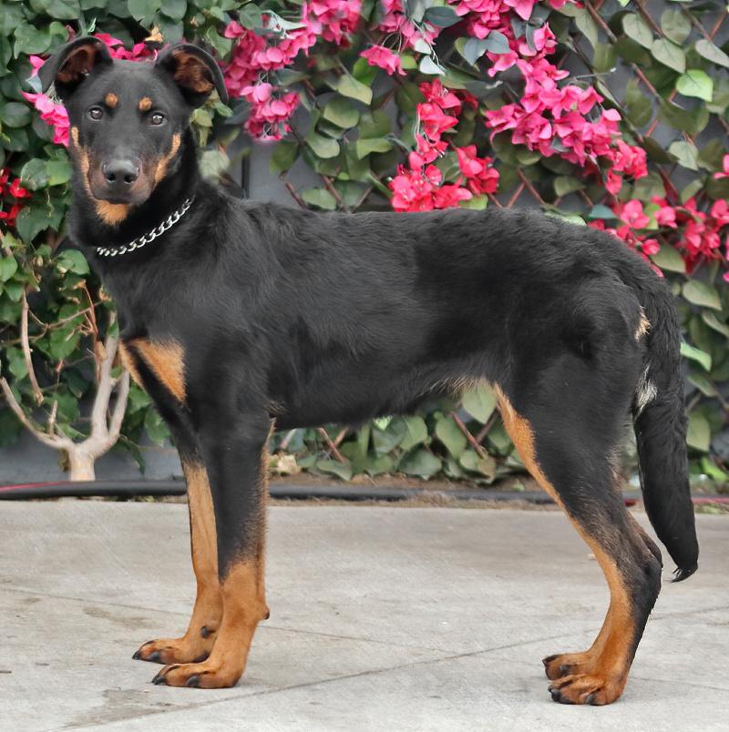 Star von Schwaan photo 6
