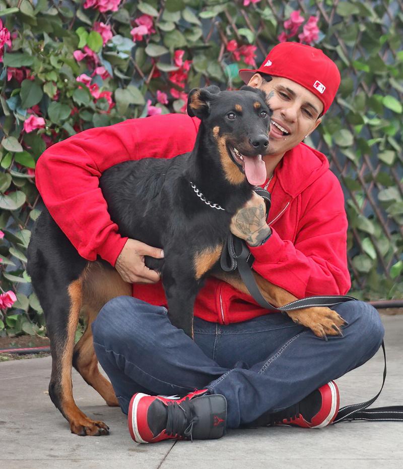 Star von Schwaan photo 2