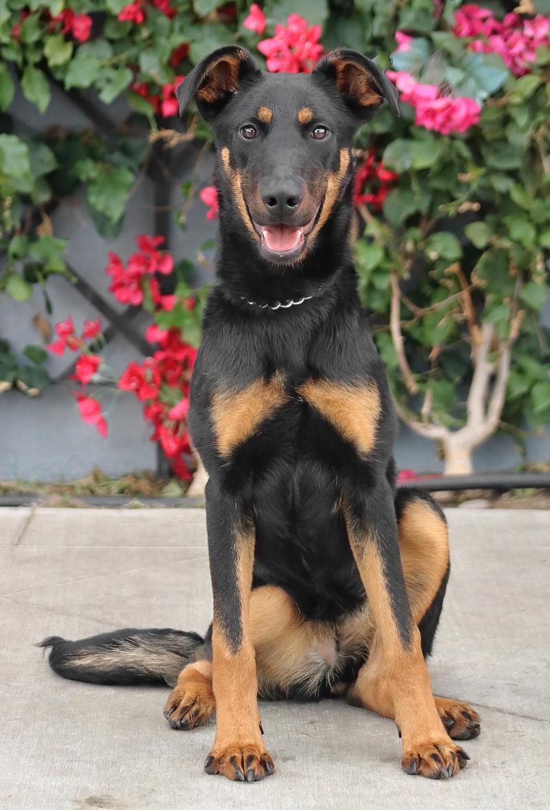 Star von Schwaan photo 5