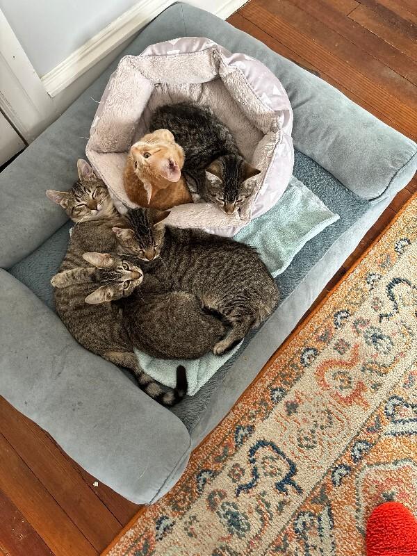 Will — thumbnail 2