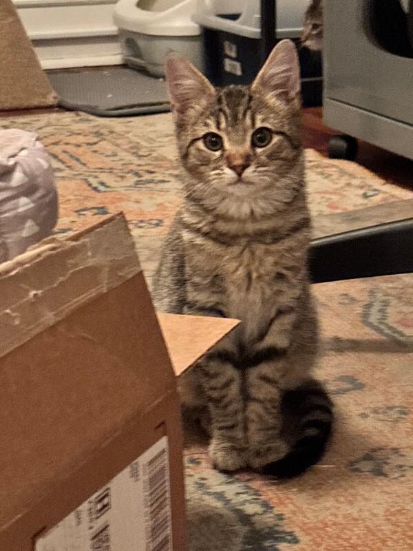 Will — thumbnail 3