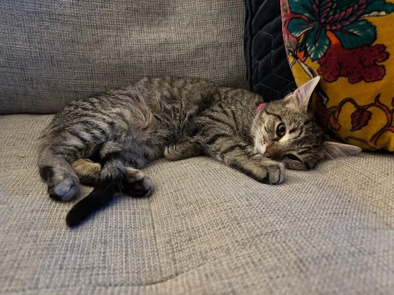 Will — thumbnail 5