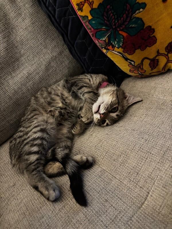 Will — thumbnail 6