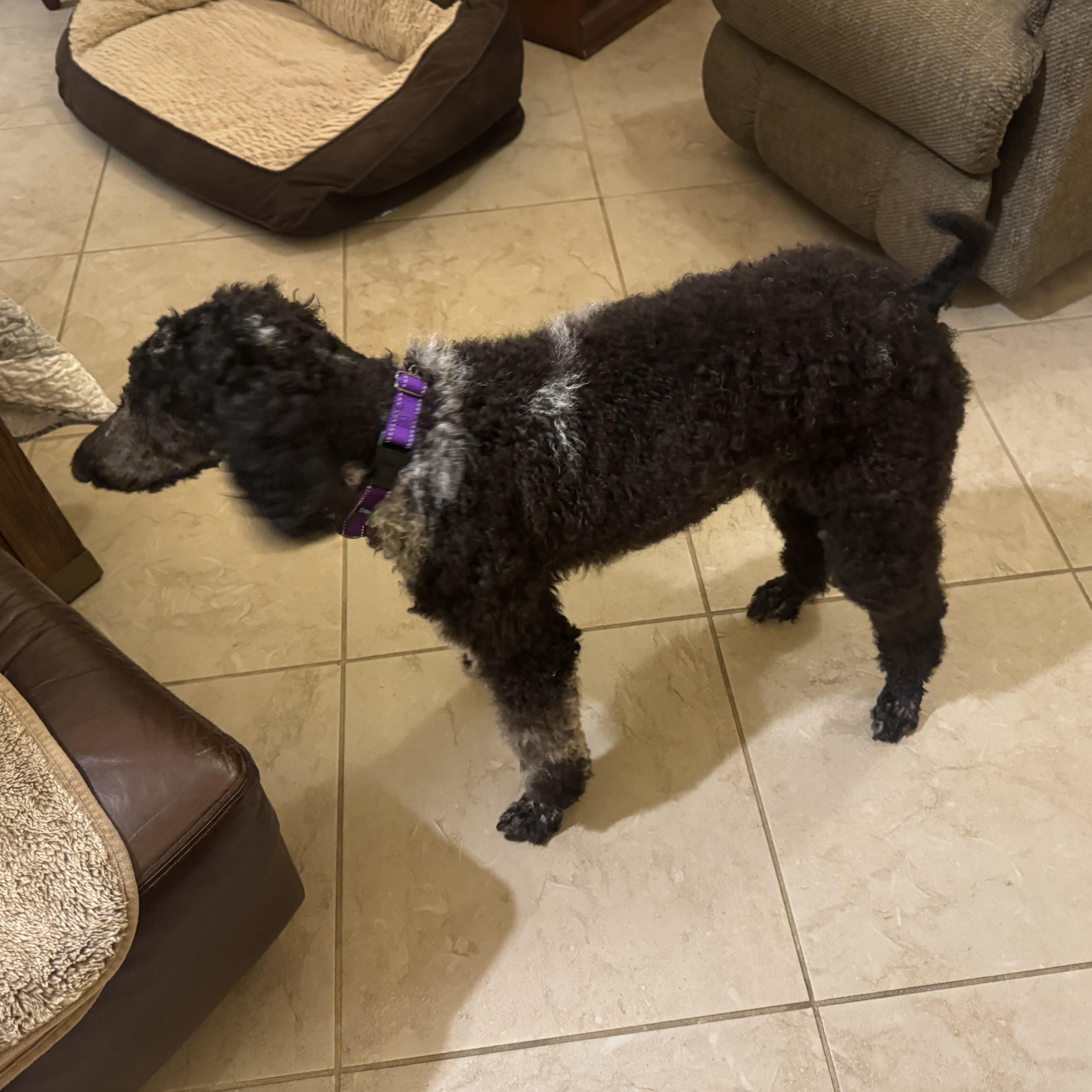 Libby thumbnail 3