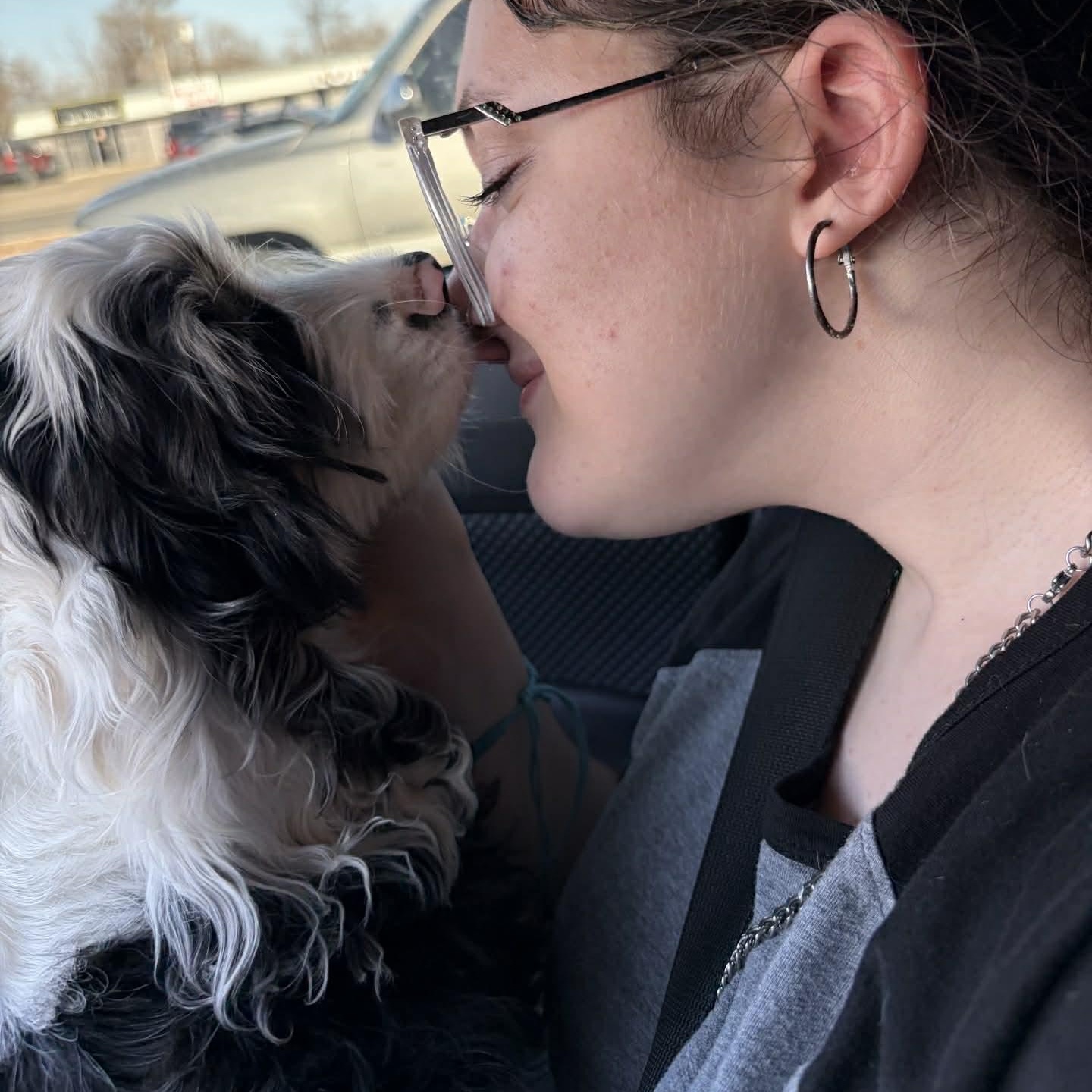 Enlarge Cashmere, an adopted mixed breed in Oklahoma City, OK image 4/6