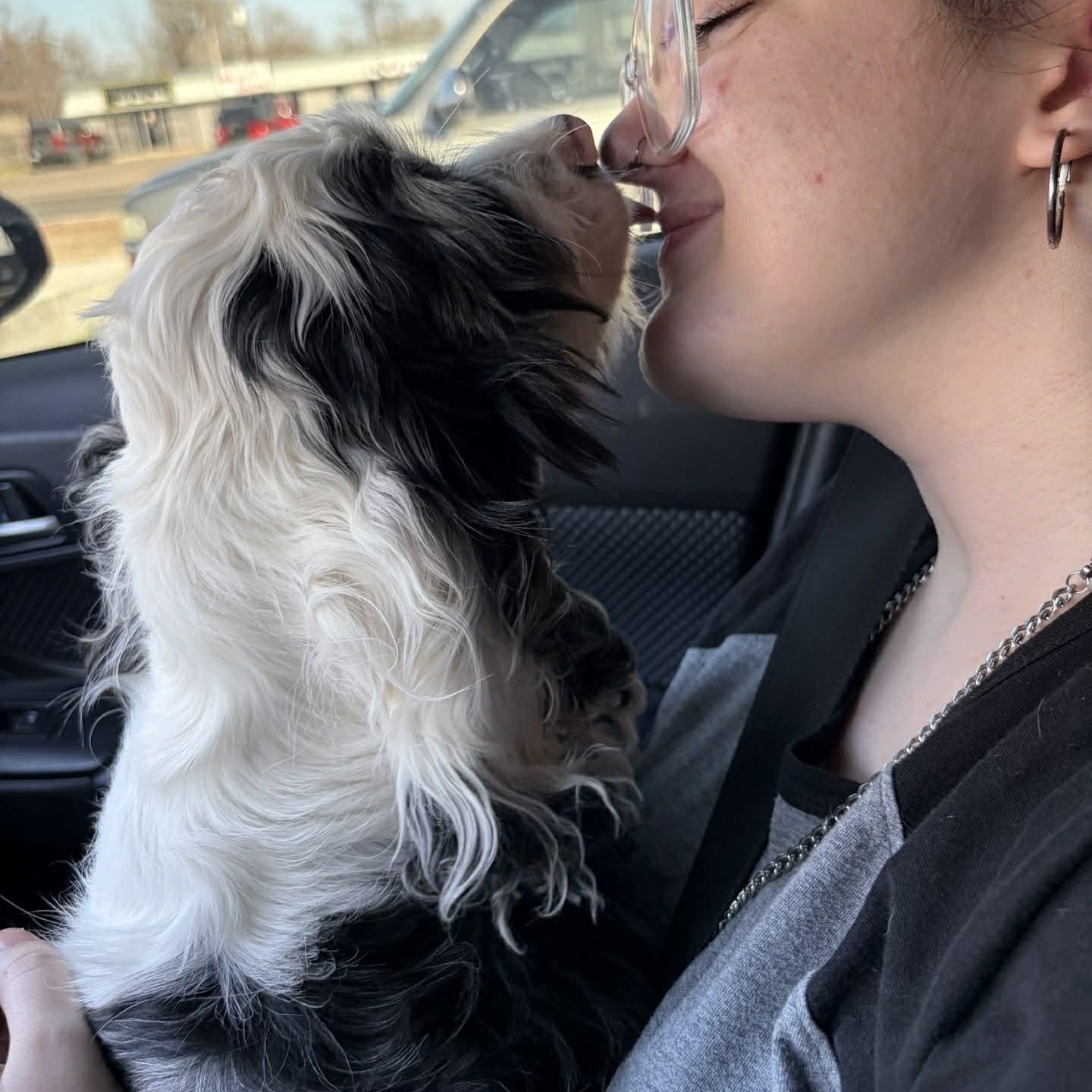 Enlarge Cashmere, an adopted mixed breed in Oklahoma City, OK image 2/6