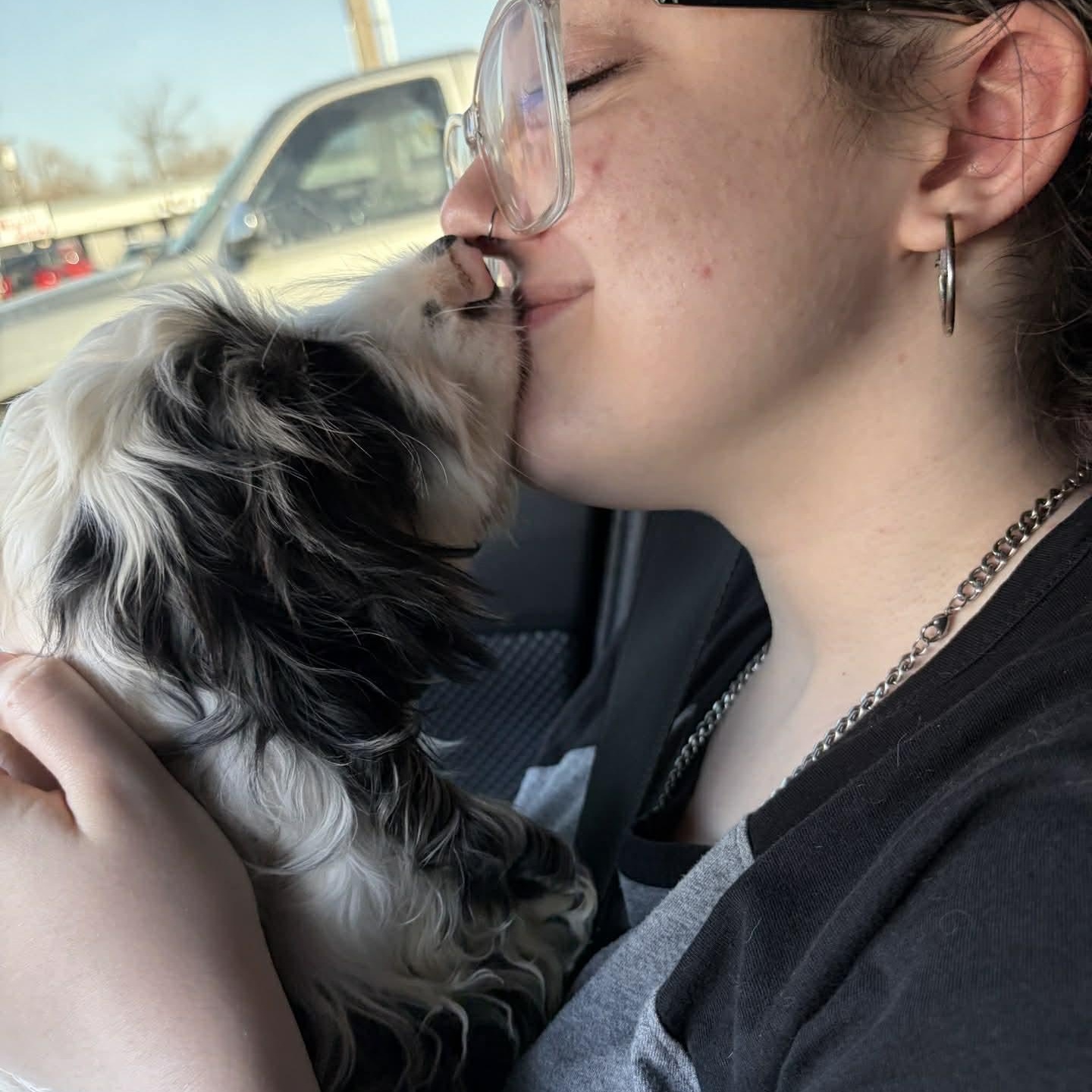 Enlarge Cashmere, an adopted mixed breed in Oklahoma City, OK image 3/6