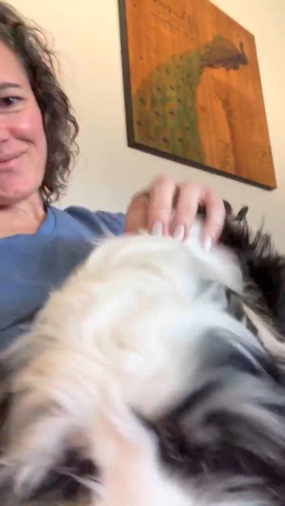 Enlarge Cashmere, an adopted mixed breed in Oklahoma City, OK video 5/6