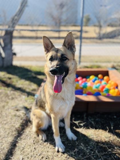 Tootsy — thumbnail 2