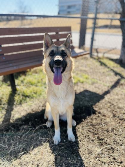 Tootsy — thumbnail 3