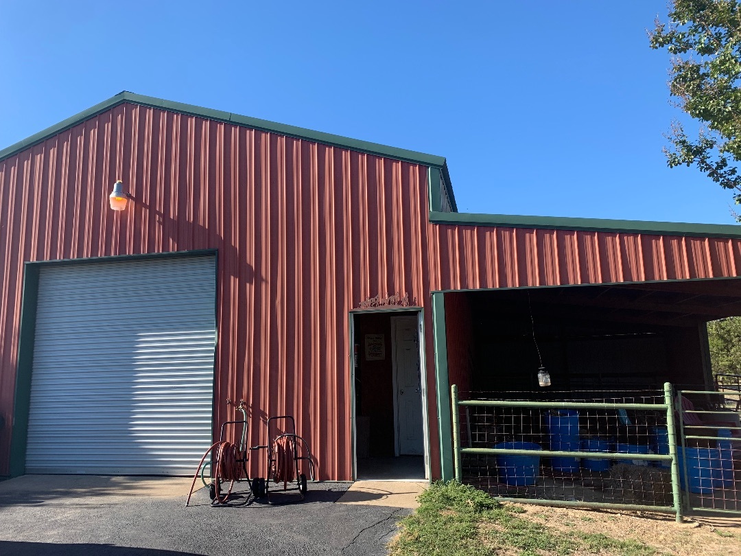 Enlarge Barn Cats, a Adoptable Domestic Short Hair in Mabank, TX image 2/6
