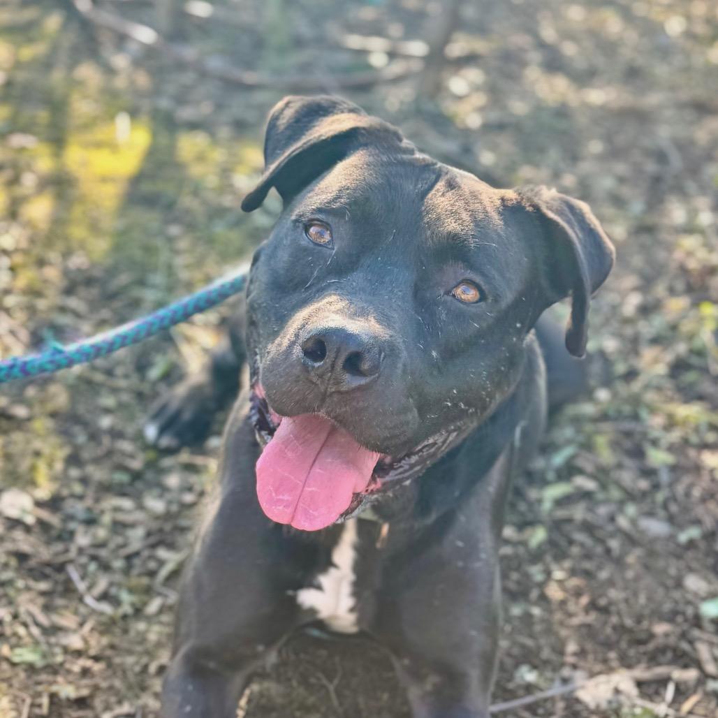 Riley Chino Hills Location thumbnail 2