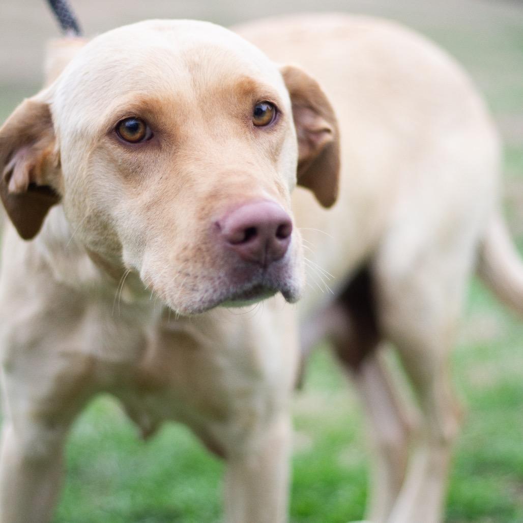 Frannie 22111 — thumbnail 2