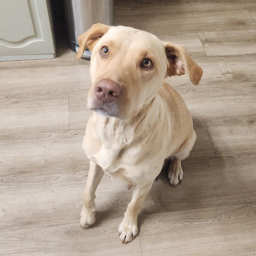 Frannie 22111 — thumbnail 3