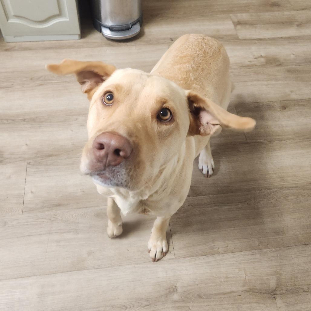 Frannie 22111 — thumbnail 4