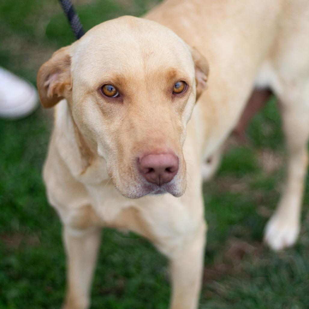 Frannie 22111 — thumbnail 5