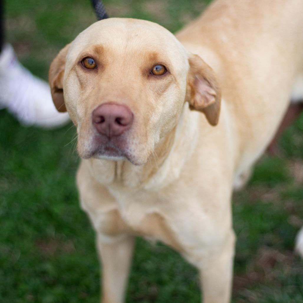 Frannie 22111 — thumbnail 6