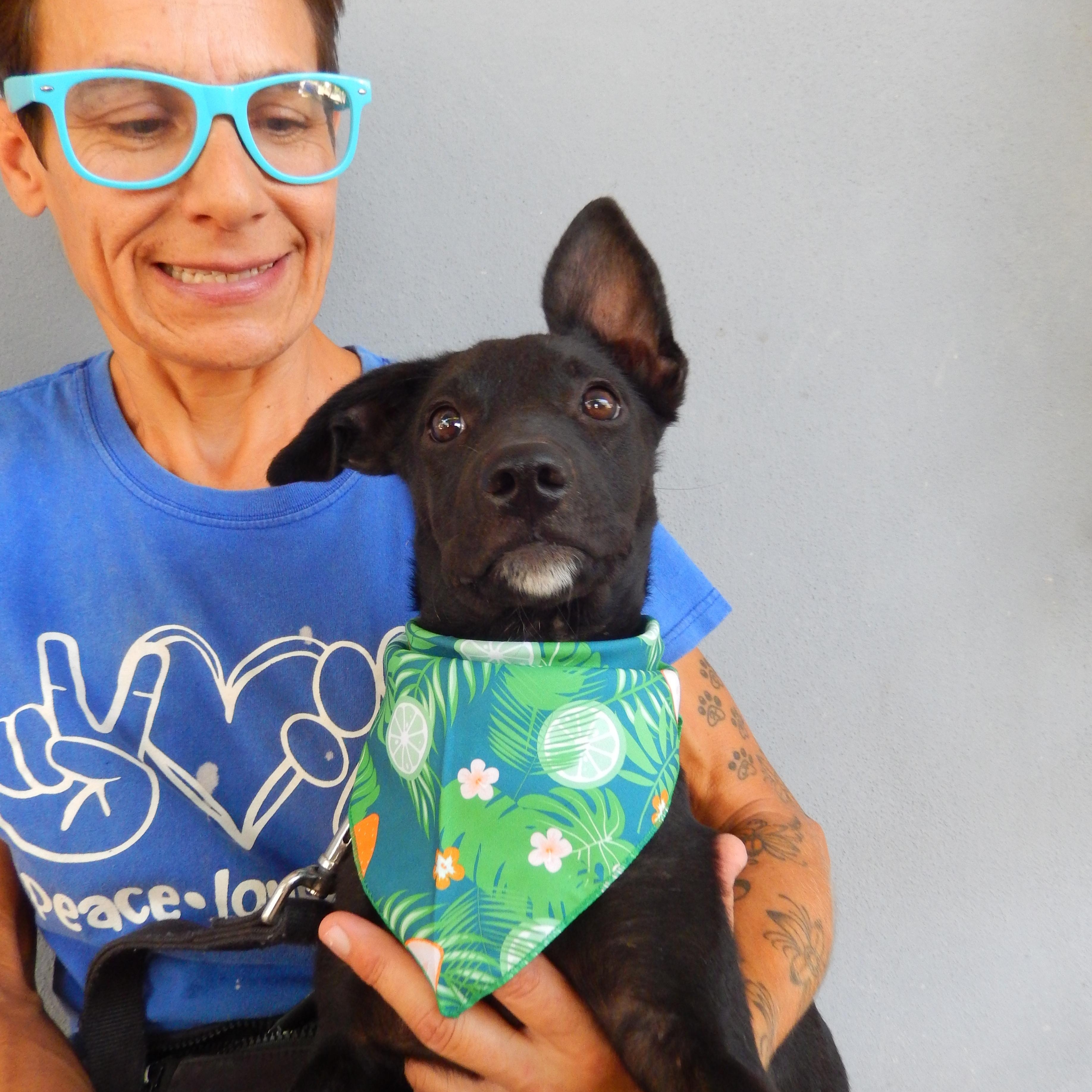 Enlarge Berna, a Adoptable mixed breed in Calgary, AB image 4/4