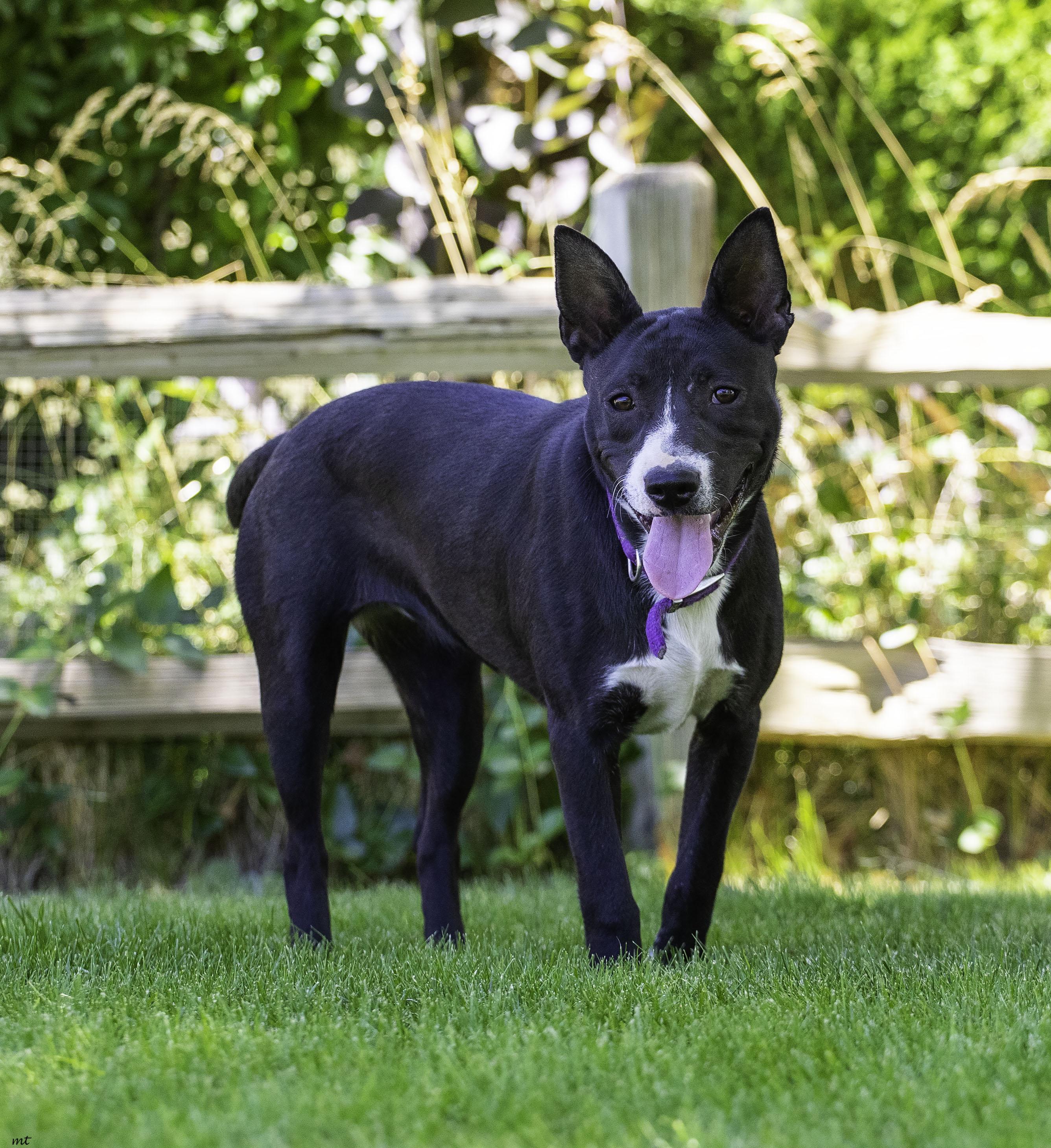 Bella