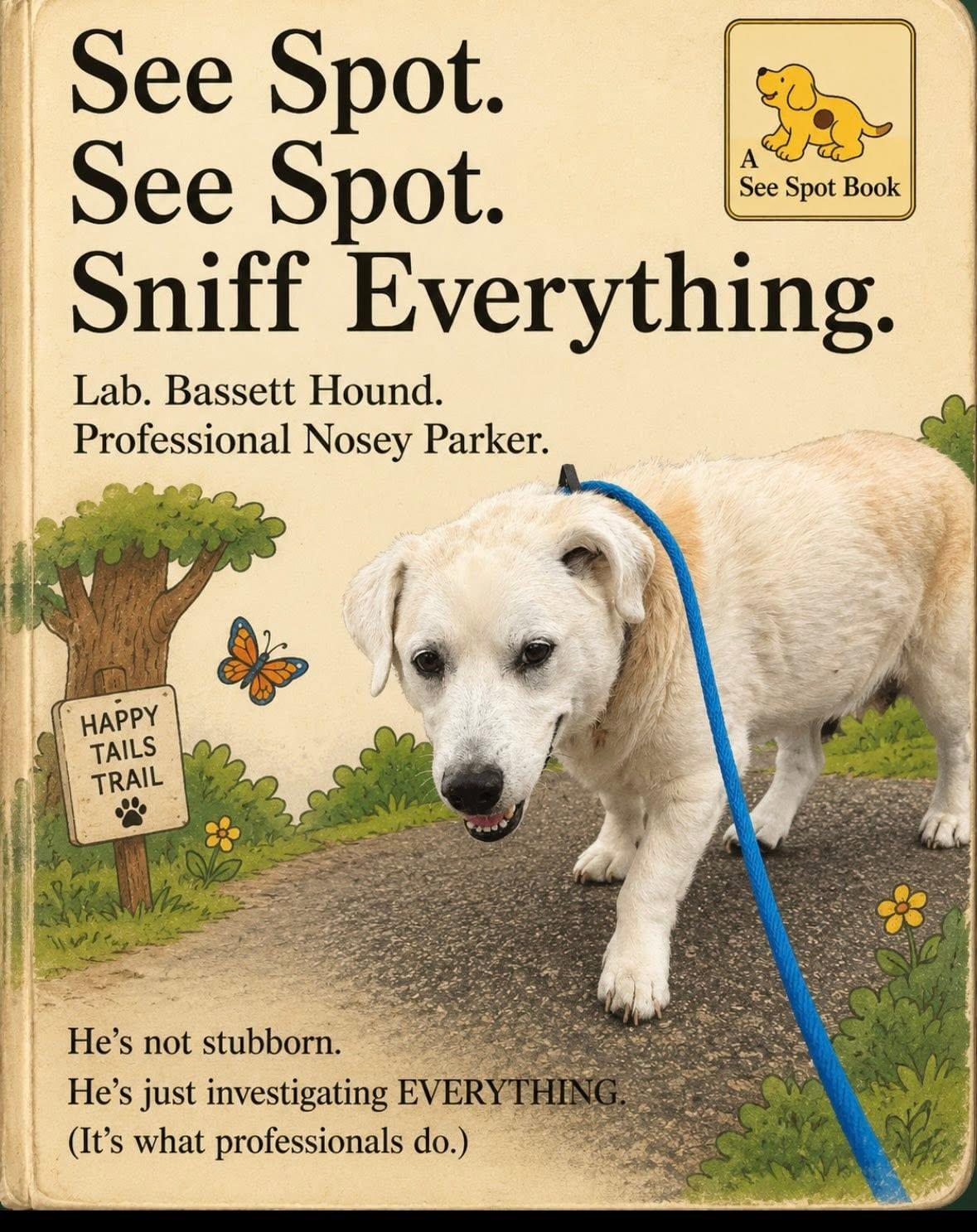 Enlarge Spot, an adoptable mixed breed in Severn, MD image 3/4