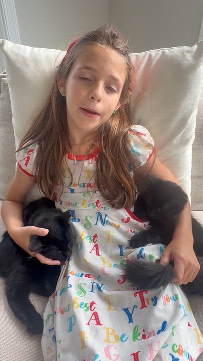 Enlarge Annie Oakley & Buffalo Bill, a ADOPTABLE Domestic Medium Hair in Leesburg, VA video 6/6