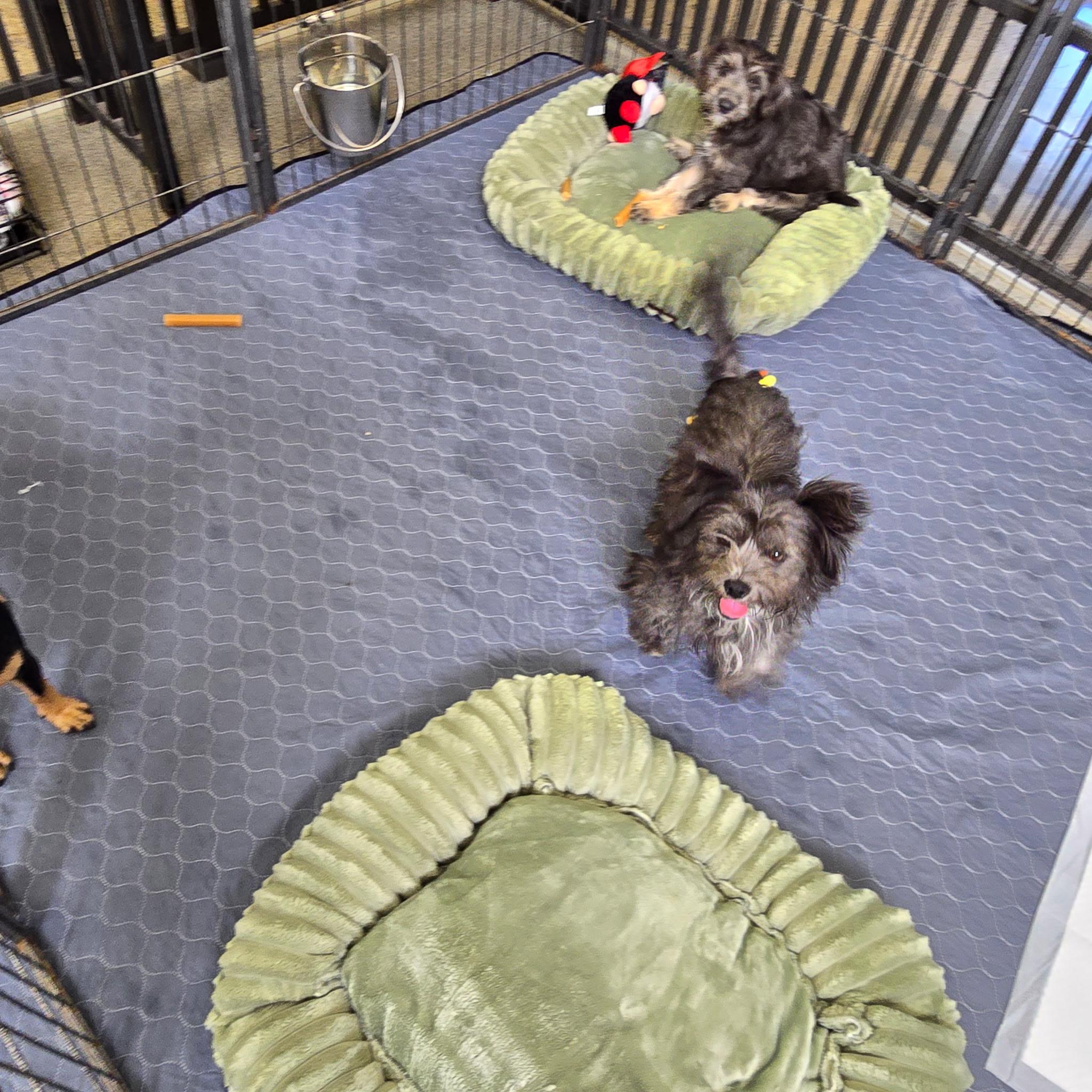 Carol (Mama) & Becky G. (Baby)